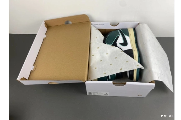 Air SE  1 FQ7818-100 FQ7818-100 